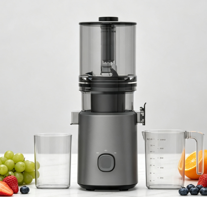 Fresh Smart HJ303 Steady Slow Masticating Juicer — Steady. That's the Whole Point.