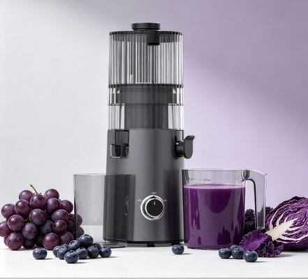Fresh Smart HJ103 Slow Masticating Juicer — Less Parts, Less Hassle, More Juice